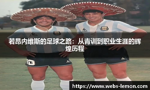 柠檬体育